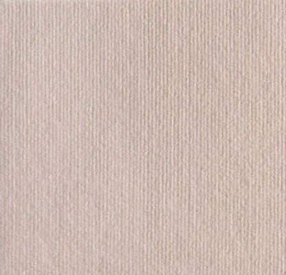 Scratching Mat For Cat Claws (1+1 Free)