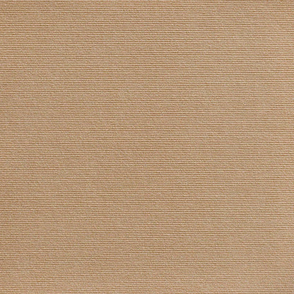 Scratching Mat For Cat Claws (1+1 Free)