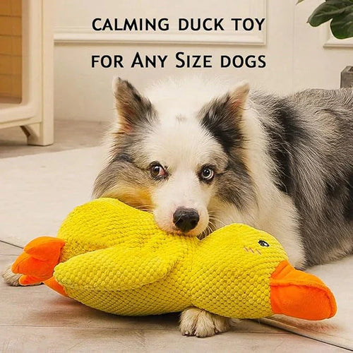 🔥 LAST DAY SALE-50% OFF 🔥 Calming Duck Toy
