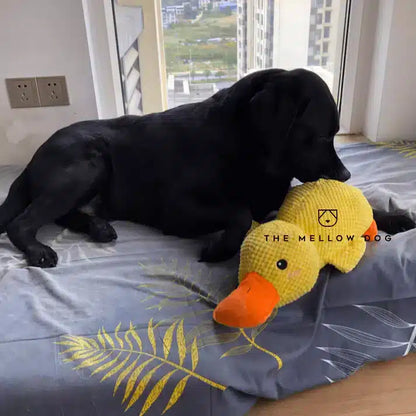 🔥 LAST DAY SALE-50% OFF 🔥 Calming Duck Toy