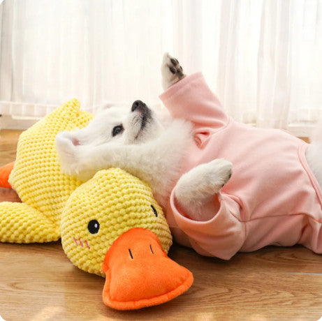 🔥 LAST DAY SALE-50% OFF 🔥 Calming Duck Toy