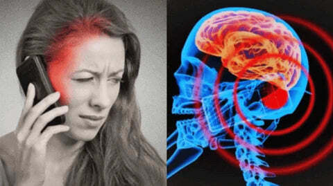 Shields Harmful Waves